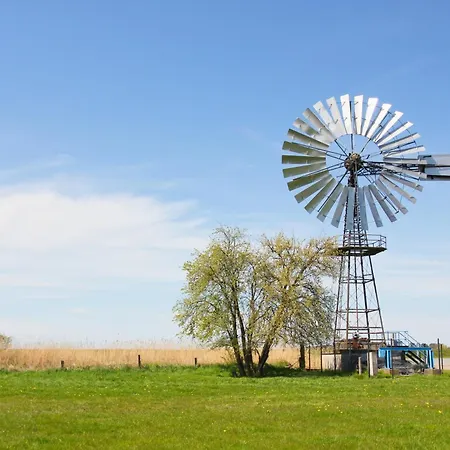 公寓 Ferienhaus Auszeit Ferienwohnung 01 奥特里德维茨