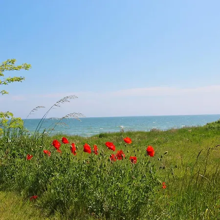 Ferienhaus Auszeit Ferienwohnung 01 *